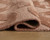 Perrenton 5' x 7' Rug (R407202)