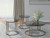 https://ashleyfurniture.scene7.com/is/image/AshleyFurniture/T219-13?&hei=420