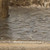 https://ashleyfurniture.scene7.com/is/image/AshleyFurniture/A2000820-SWATCH-500?&hei=420