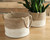 Parrish - Natural / White - Basket Set (2/CN)