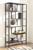 Frankwell - Brown / Black - Bookcase