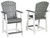 Transville - Gray / White - Barstool (2/CN)