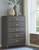 Caitbrook - Gray - 6 Pc. - Dresser, Mirror, Chest & Queen Storage Bed With 8 Drawers