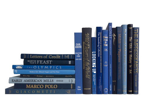 Vintage Denim Oversized Books By The Foot