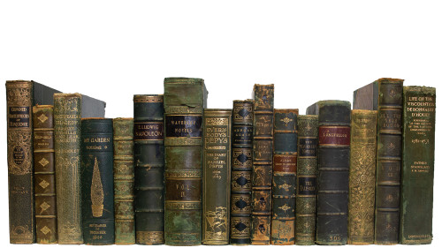Vintage Boxwood Leather: Color By The Foot