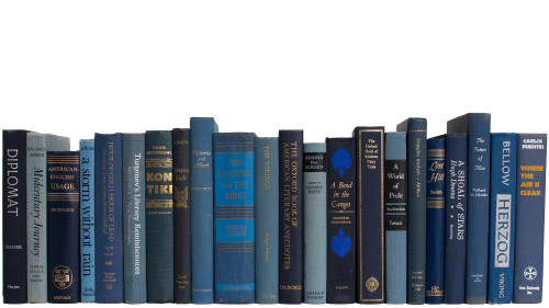 Vintage Denim Books By The Foot