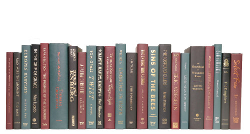 Modern Winter Berry: Color By The Foot