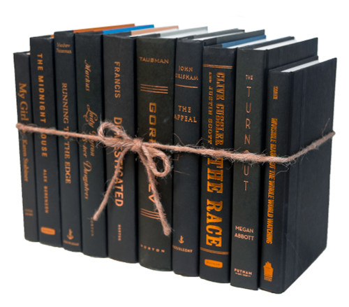 Onyx & Copper Book Bundle