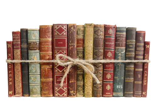 Vintage Petite Leather Mix Book Bundle