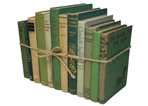 Vintage Ivy Cream Book Bundle