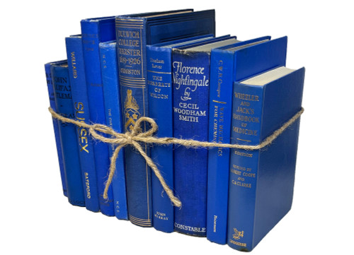Vintage Royal Blue Book Bundle