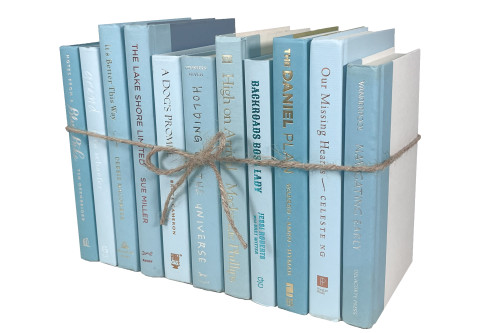 Pale Sky Book Bundle