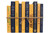 Gold and Navy Team Colors Book Bundle