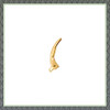 Lever Back Bow And Spring