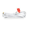 Main