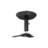 Main