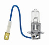 Main