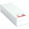 Alternate-Image1