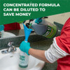 Alternate-Image4