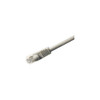 Main