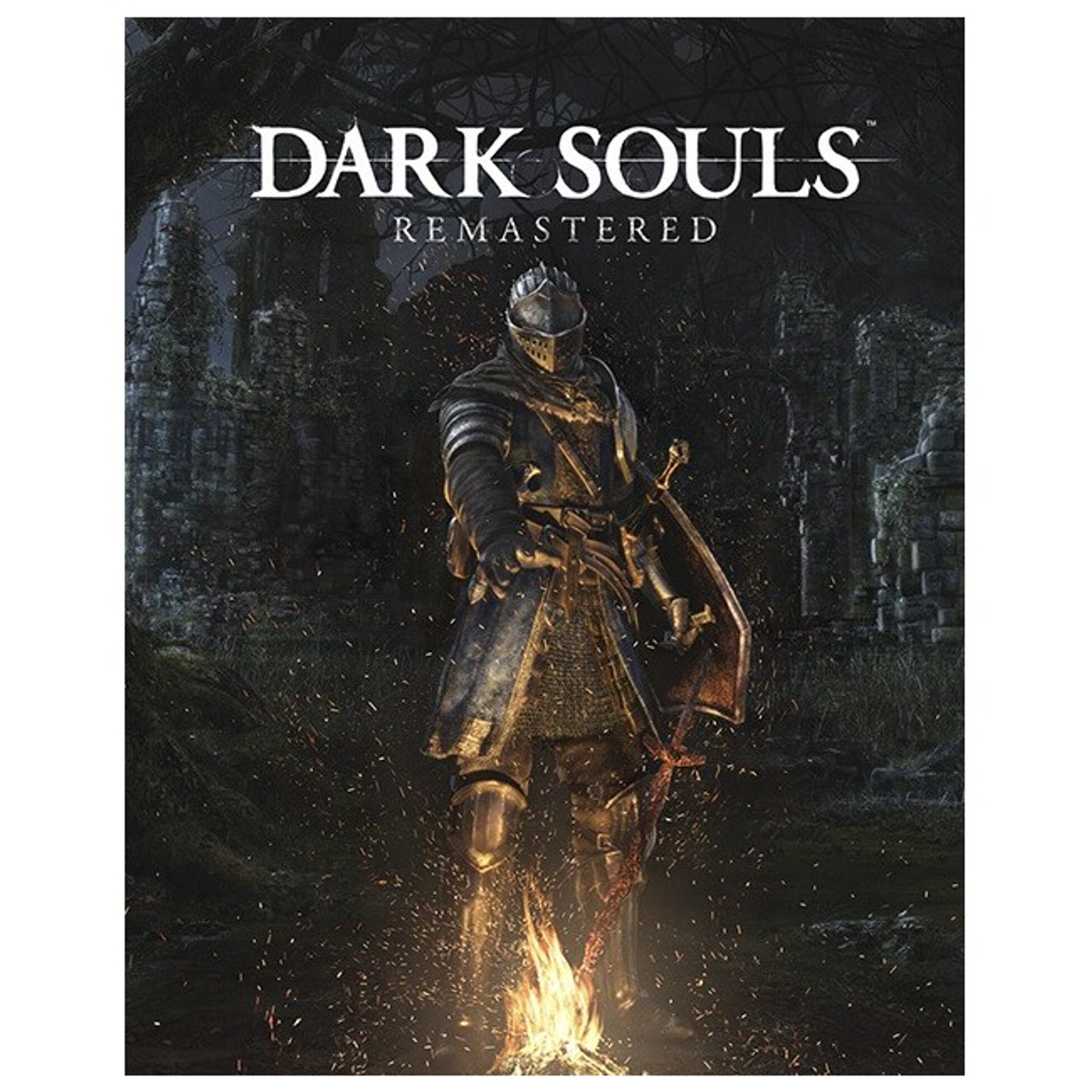 BANDAI NAMCO Dark Souls Remastered 12139 Beach Audio