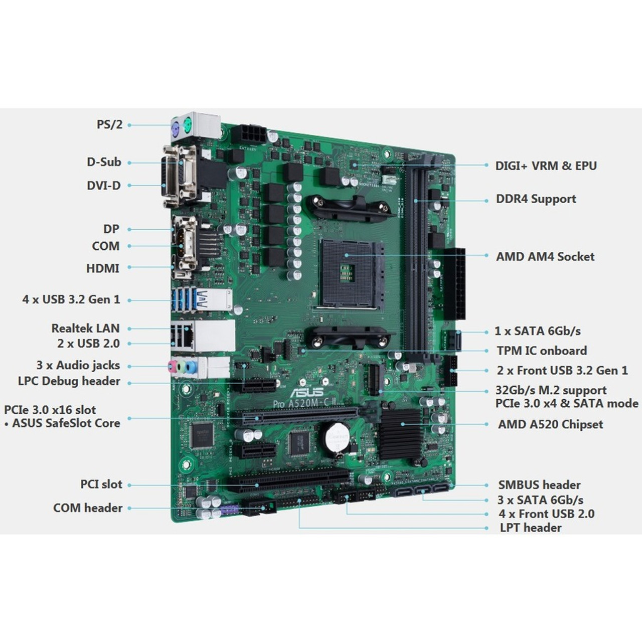 Asus A520M-C II/CSM Desktop Motherboard - AMD Chipset - Socket AM4 - Micro  ATX (proa520m-ciicsm)