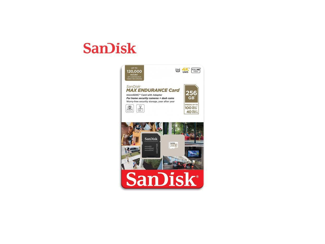 SanDisk MAX ENDURANCE 256 GB Class 10/UHS-I [U3] | Beach Audio