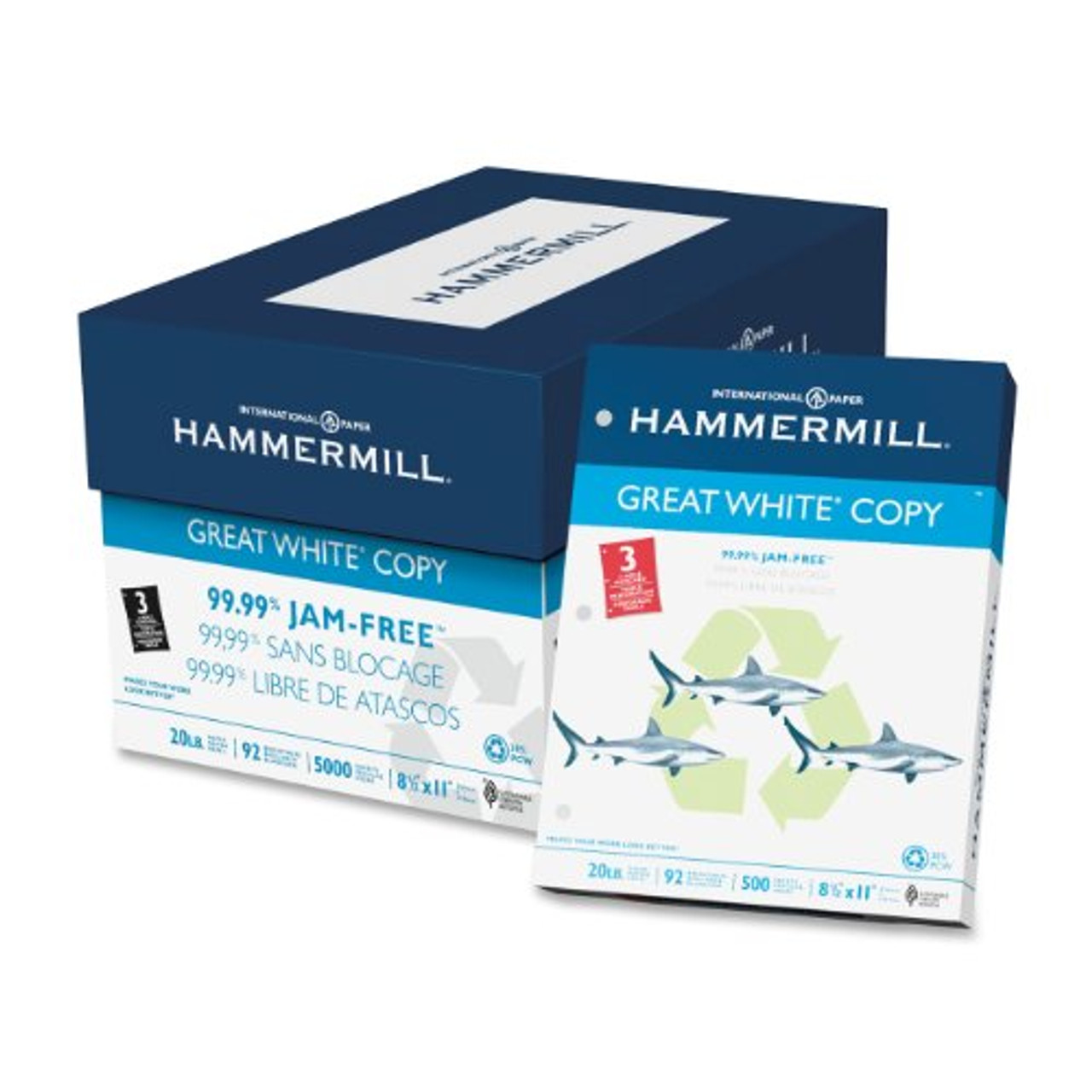 Hammermill Printer Paper, 20lb Great White 30% Recycled Paper, 8.5x11, 10  Reams 