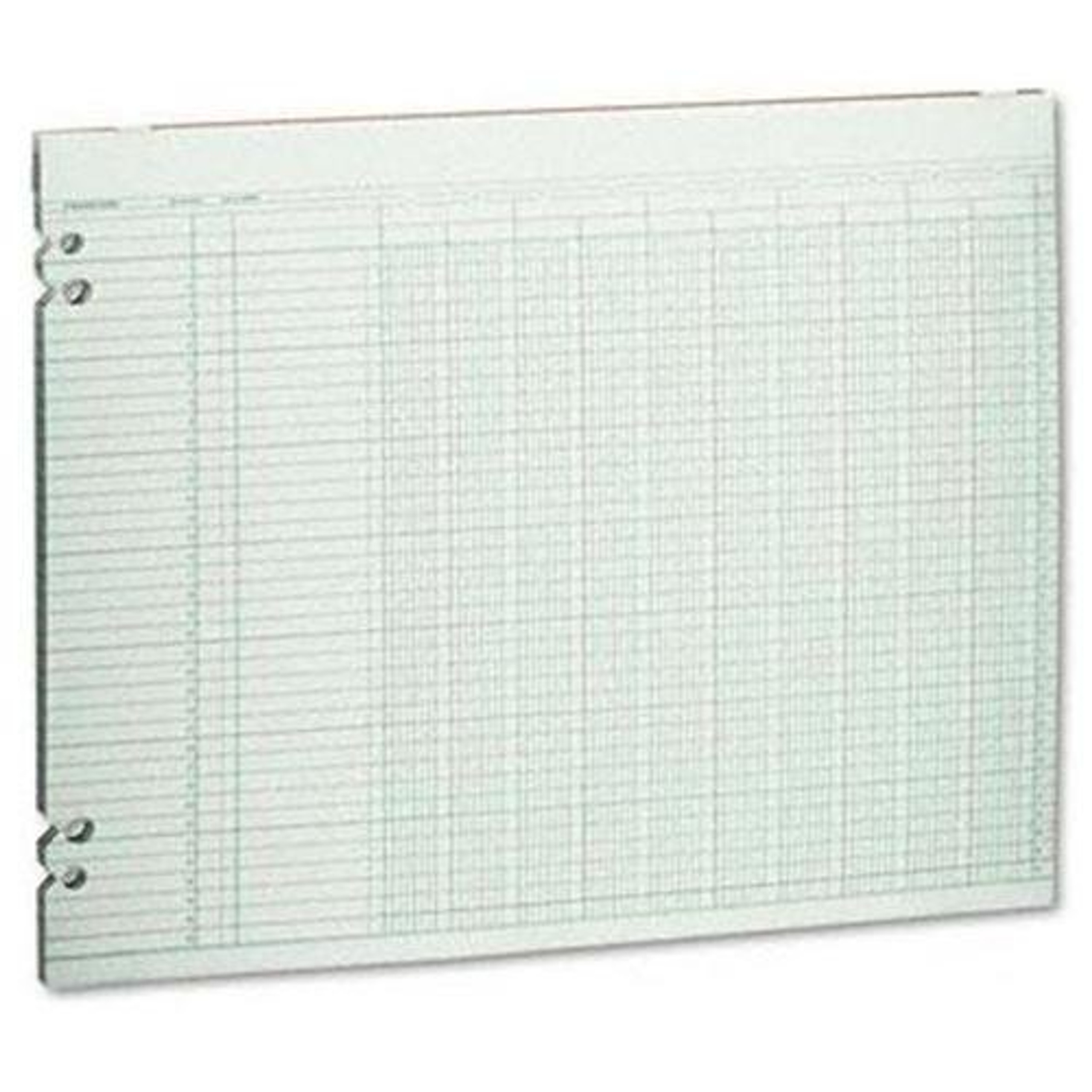 Wilson Jones G3010 Columnar Sheet 100 Sheet[s] 11" Beach Audio
