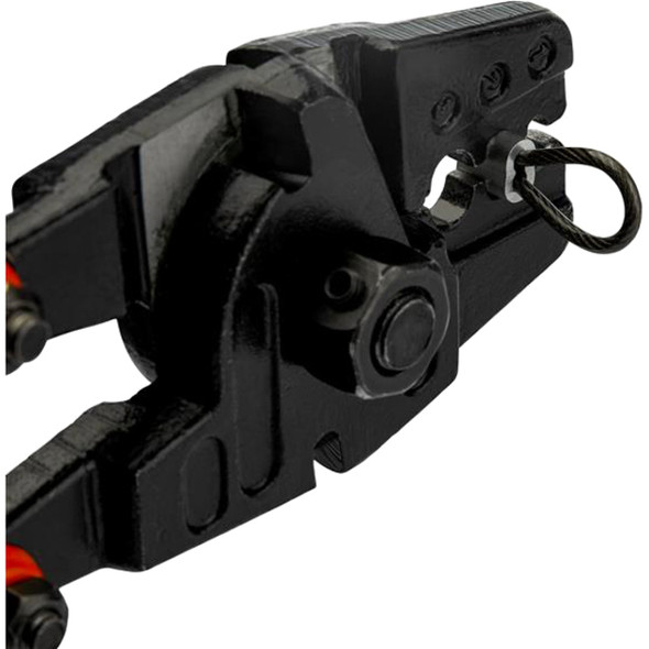 Alternate-Image3