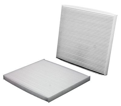 Main