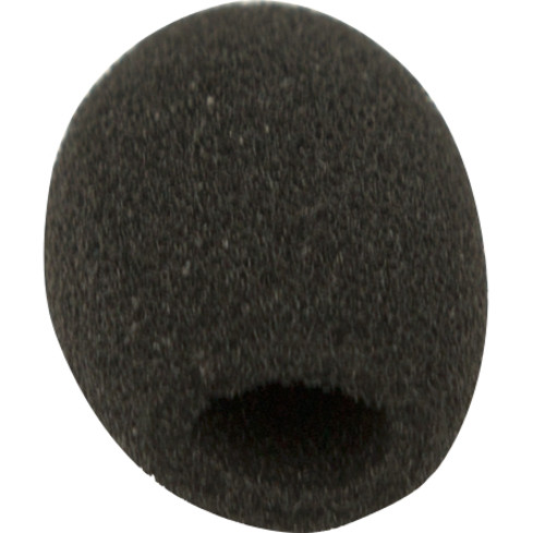 Alternate-Image1