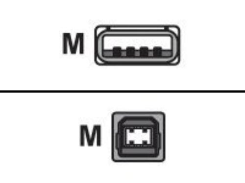 Main