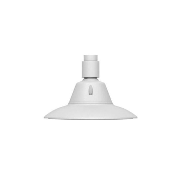 Main