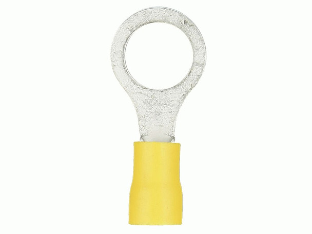 Main