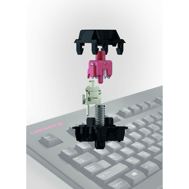 Alternate-Image1