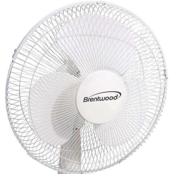 Alternate-Image4