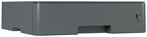 Main