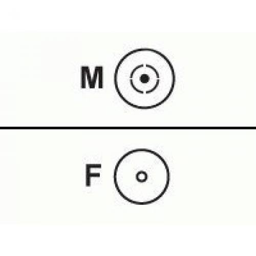 Main