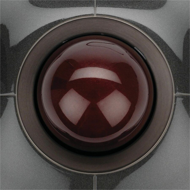 Alternate-Image4