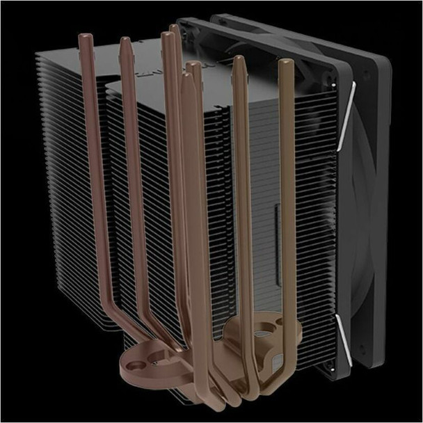 Alternate-Image6