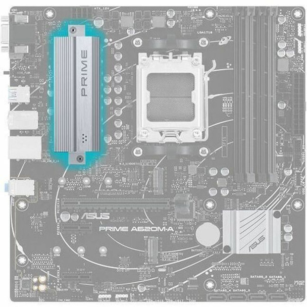 Alternate-Image8