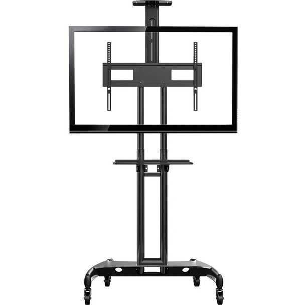 Alternate-Image1