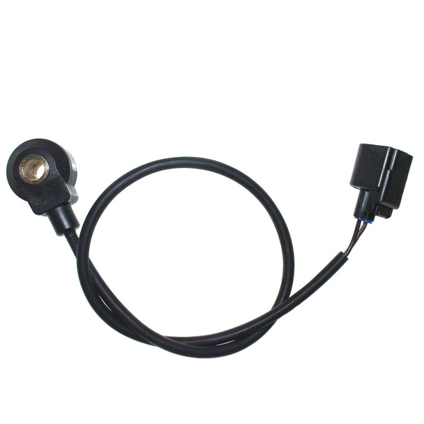 Main