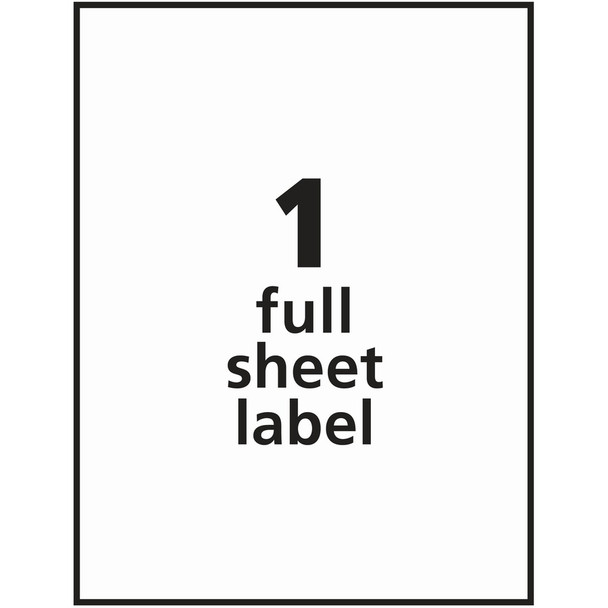 Alternate-Image11