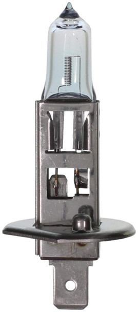 Main