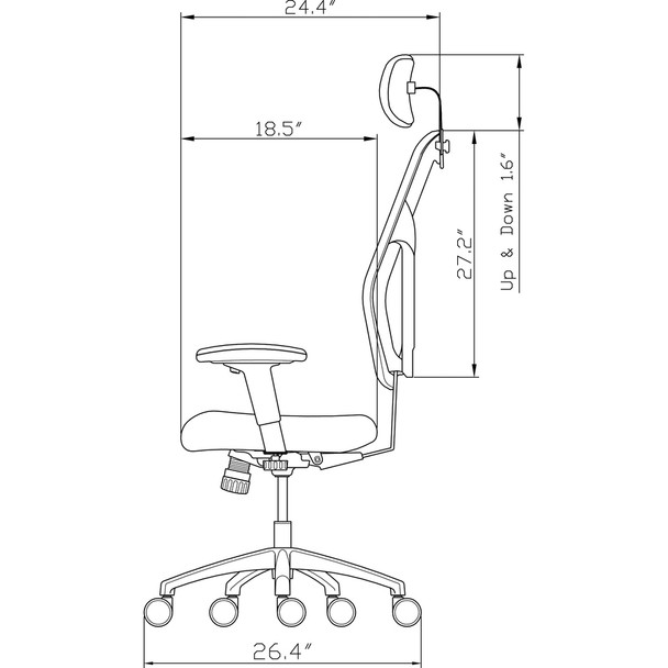 Alternate-Image1