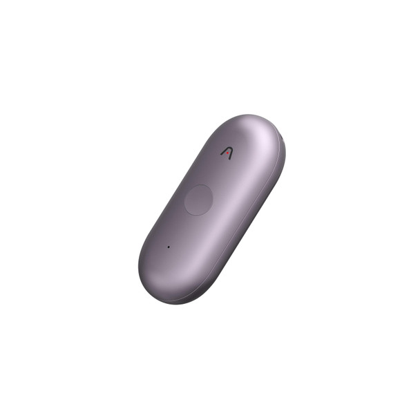 Main