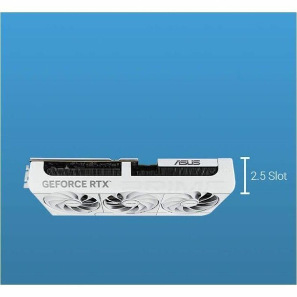 Alternate-Image12
