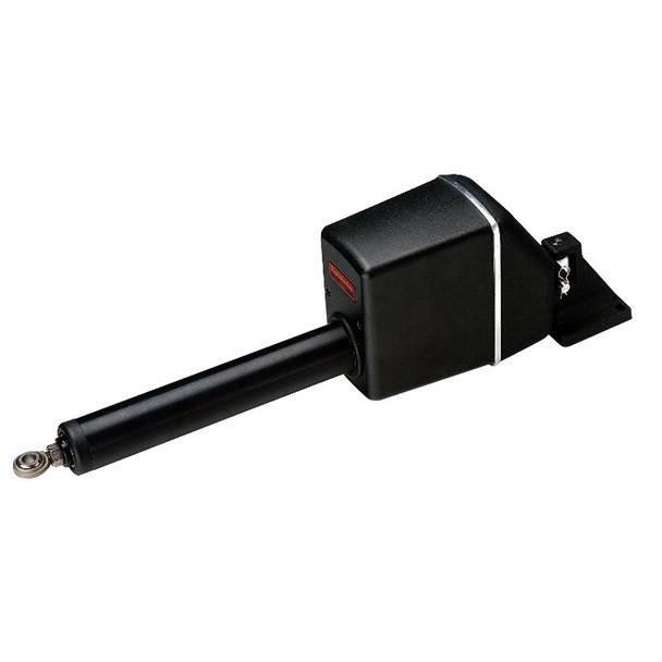 Main